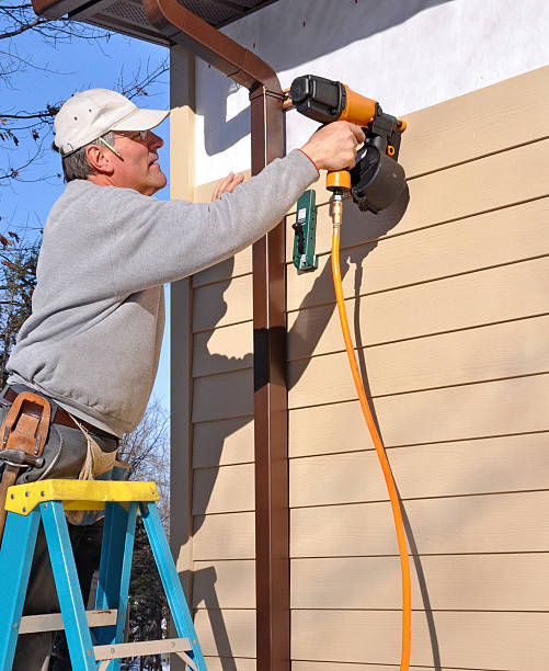 Best Insulated Siding Installation  in USA